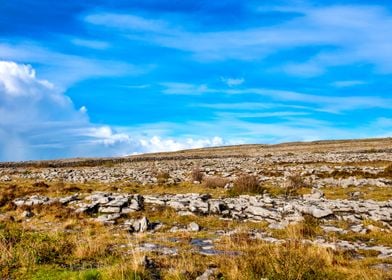 The Burren