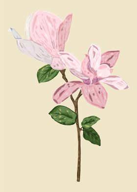 Magnolia Botanical Art