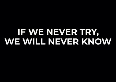 IF WE NEVER TRY