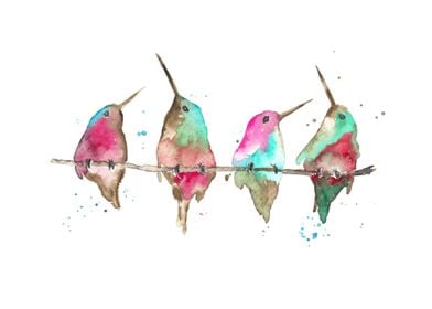 Hummingbirds on branch