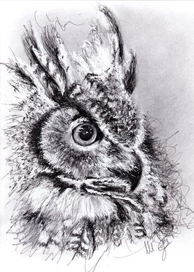 owl in sribble art