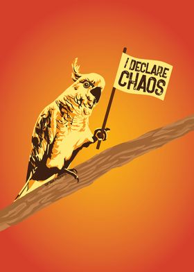 I declare chaos Cockatoo
