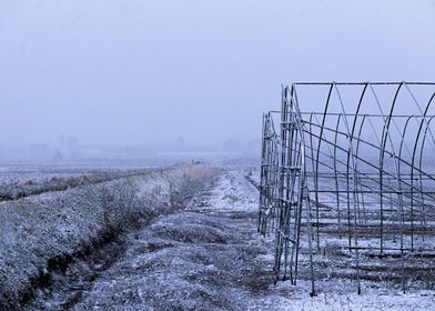 Silence of the farms