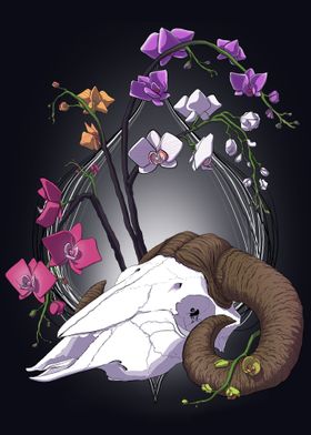 Ram Skull Beneath Orchids