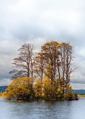 Amazing Scotland