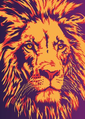 Lion closeup
