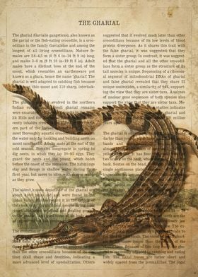 Vintage Gharial Print