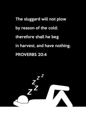 Proverbs 20 4