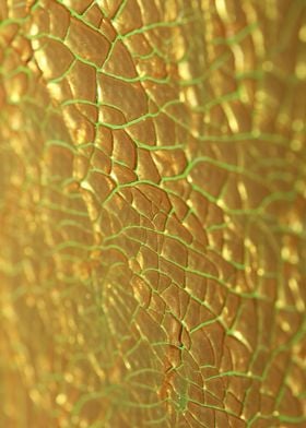 Golden canvas paint macro