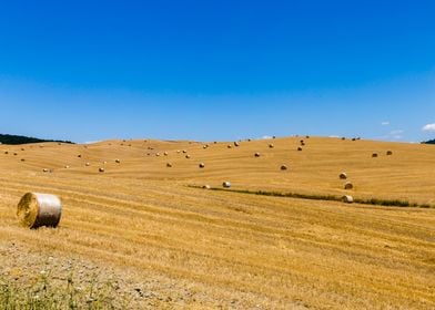 Hay bales in Tuscany