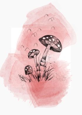 Mushrooms