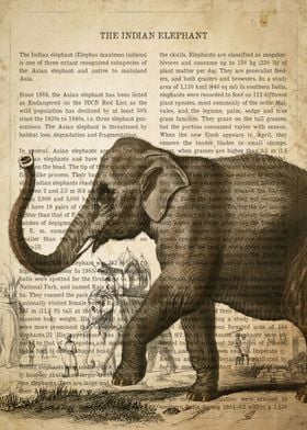 Vintage Elephant Print