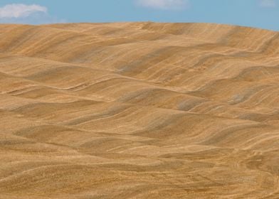 Abstract Val D Orcia