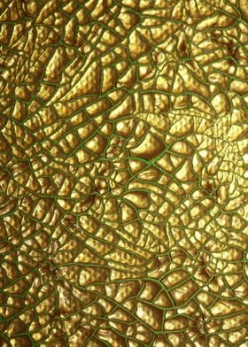 Golden canvas paint macro