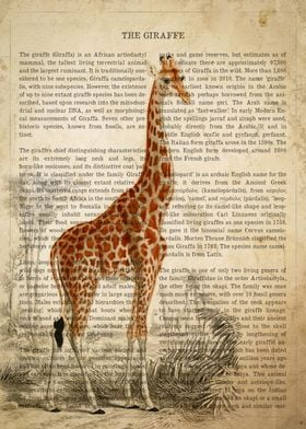 Vintage Giraffe Print