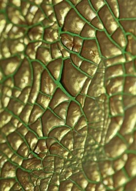 Golden canvas paint macro