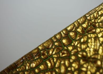 Golden canvas paint macro