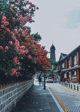 Flowers in Jeonju Korea