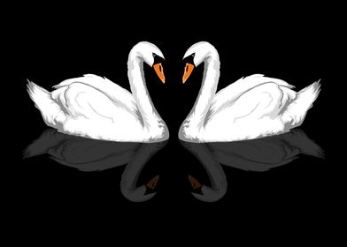 Swans heart shape
