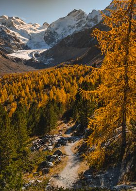 Autumn Path