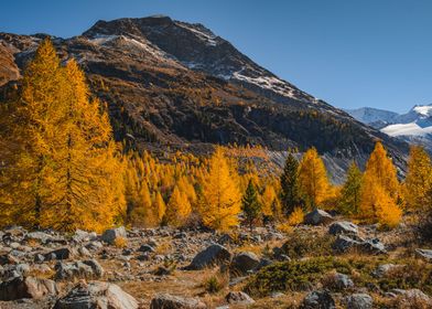 Autumn Valley