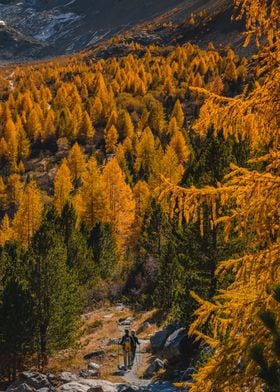 Autumn Hike