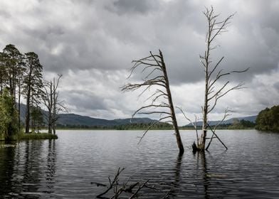 Loch Garten