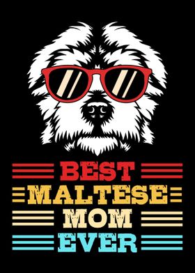 Maltese Mom