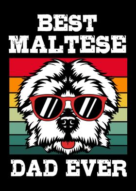 Maltese Dog Dad