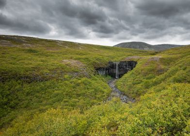 Icelandic green lands