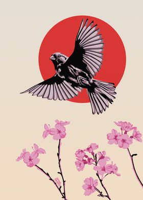 Bird cherry blossom Japan