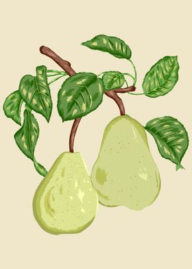 Pear Botanical Art