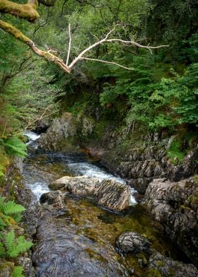 Scottish Landscape