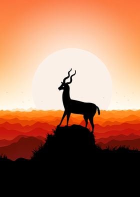 deer animal sunset