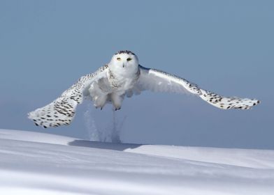 Snowy lift off