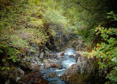 Scottish Landscape