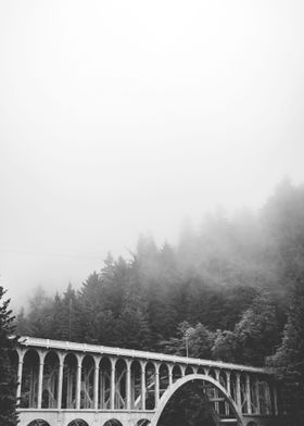 PNW Fog and Bridge Oregon