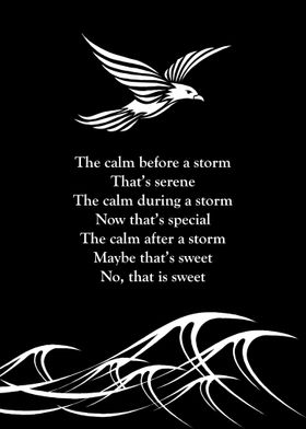 Storm Dove