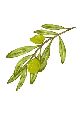 Olives Botanical Art