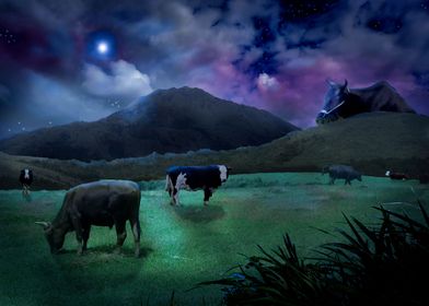 Cows at Dark Landscape