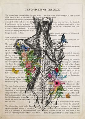 Muscles of the Back