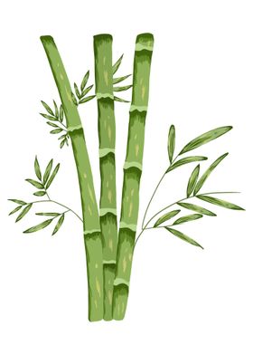 Bamboo Botanical Art