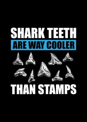 Shark Teeth Fossils Gifts