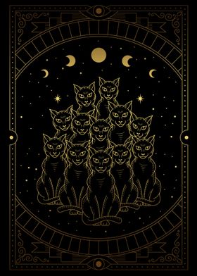 magical black cats