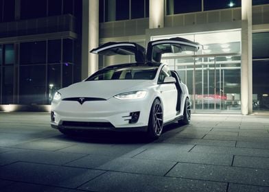 Model X gullwing doors up