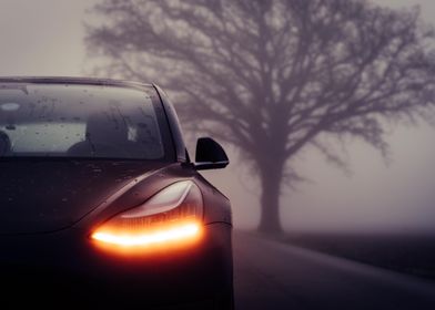 Tesla Model 3 in fog