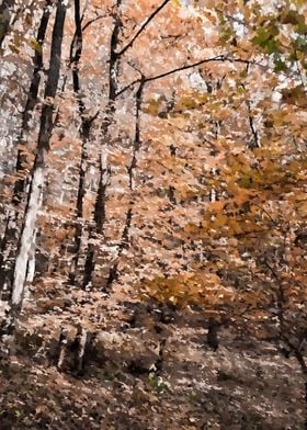 Amber fall forest