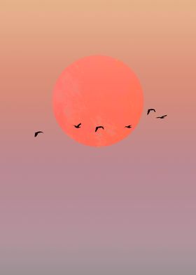 Birds fly in sunset