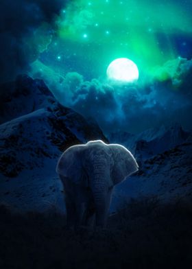 Elephant Glow Poster