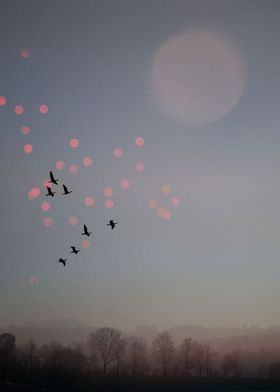 Birds fly in winter sky